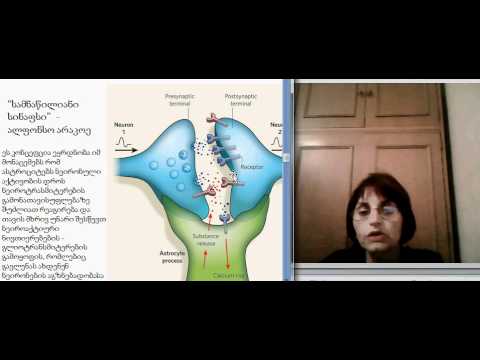 თ.ლორთქიფანიძე გლია-ნეირონი ლექცია1.1