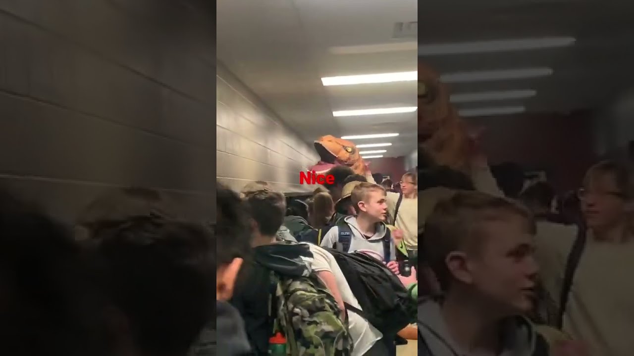 High School Hallways In A Nutshell