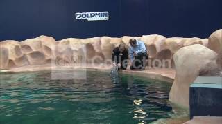 GA: LEARNING THE LANGUAGE OF DOLPHINS (COOL!)