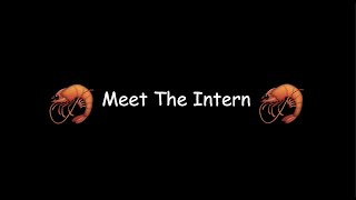 🦐Meet The Intern🦐