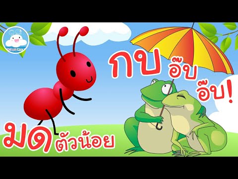 เพลงมดตัวน้อย & เพลงกบอ๊บอ๊บ เพลงเด็กน้อยวัยอนุบาล @KidsOnCloud