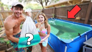 GIRLFRIEND SURPRISED ME WITH EXOTIC FISH FOR BACKYARD POOL POND!!