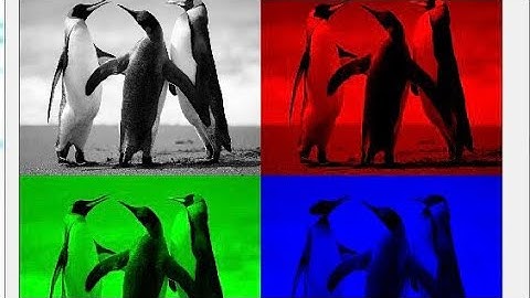 Split & Merge Image Color Channels | Computer Vision | OpenCV & Python.