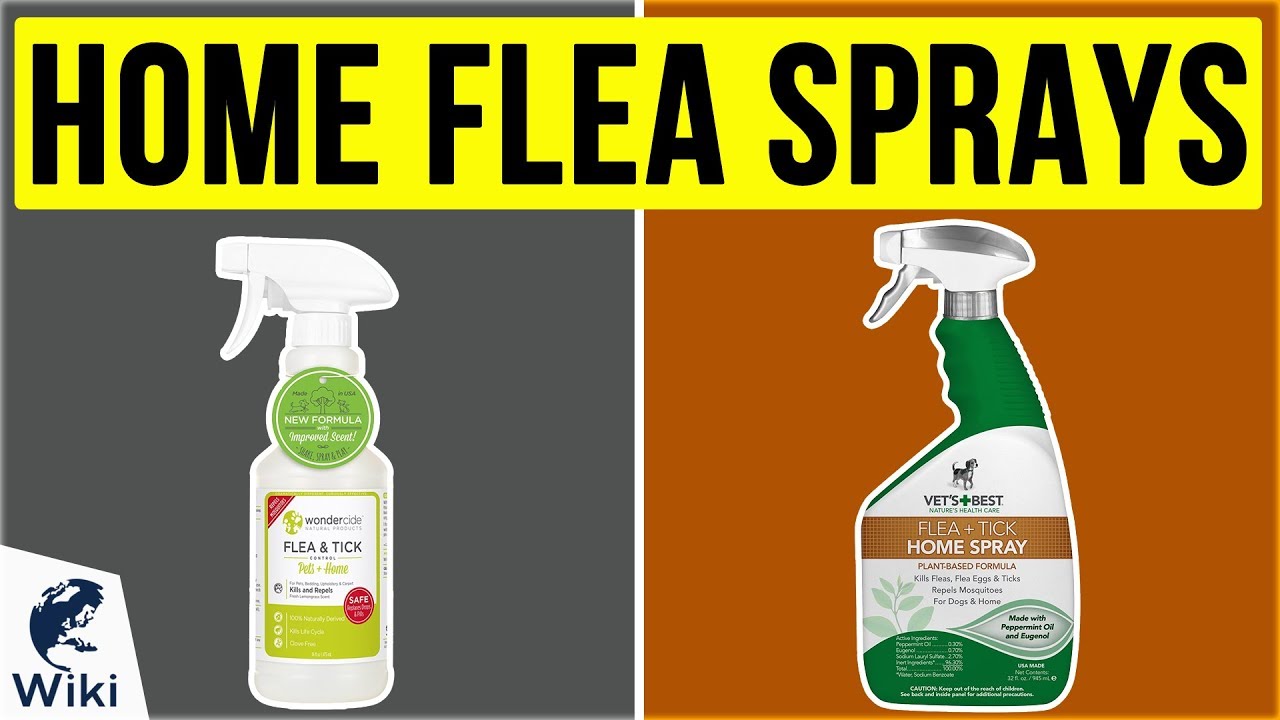 Get Rid of Fleas in the House fast with Flea Spray