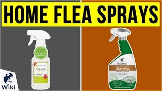 10 Best Home Flea Sprays 2020