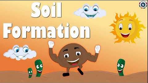 Class.5 : SCIENCE : Lesson.7 : Soil Erosion and conservation : Revision (Worksheet)
