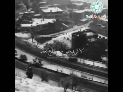 حالات واتس اب وائل كفوري ليكي برا جنون البرد شلع ورقات الوردة