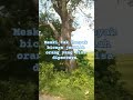 Jadilah Orang yang Bisa Fipetcaya