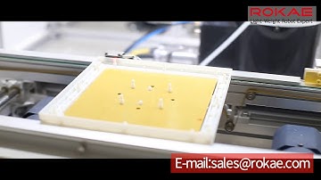 LED module assembly line, Rokae Robotics.