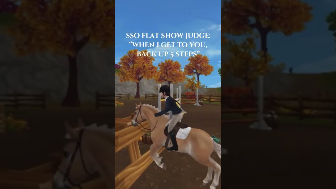 Only Sso Players Will Understand This One Equestrian Starstable Starstableonline