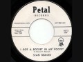 Stan Beaver-I Got A Rocket In My Pocket 1963