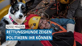 SO Repo | Rettungshunde: Üben für den Ernstfall