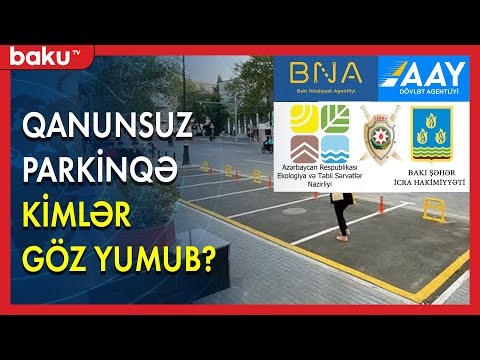 Video: Hansı qurumlar pulyuyanlara qarşı daha həssasdır?