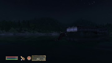 Player character is invisible