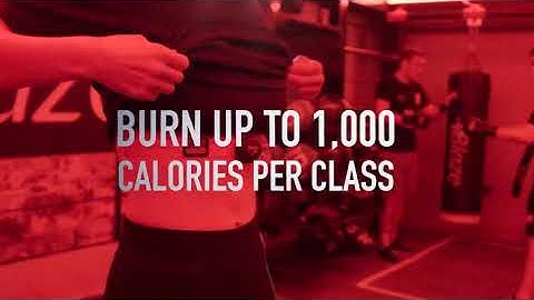 David Lloyd Clubs - Blaze