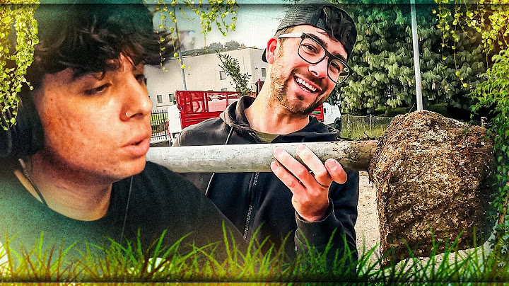Manuuxo reagisce a "RICOSTRUISCO il GIARDINO del MEGA STUDIO"