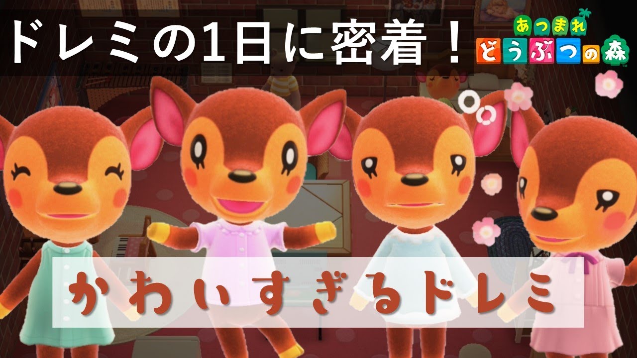 あつ森】ドレミの可愛い日常/ a cute day of fauna【あつまれどうぶつ