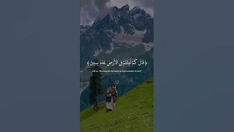 #تلاوة_مؤثرة #تلاوة_خاشعة #إسلام_صبحي #حالات_واتساب #صوت_يريح_القلب #قرآن #صلوا_علي_النبي #حالات