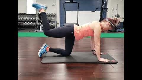 Quadruped hamstring curl