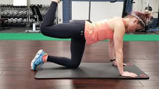 Quadruped hamstring curl