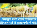 अकलूज मध्ये भरला घोडेबाजार/50 हजार ते 11लाखापर्यंत घोडे/Maharashtra horse market.