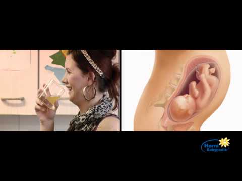 Video: Jak Léčit Kašel Během Těhotenství Ve 3. Trimestru Doma