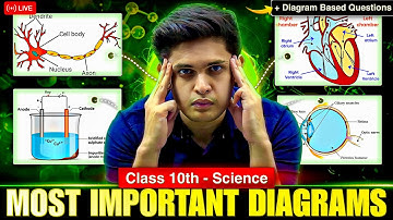 Class 10th Complete Science Most Important Diagrams🔥| Diagram Based Questions | Prashant Kirad