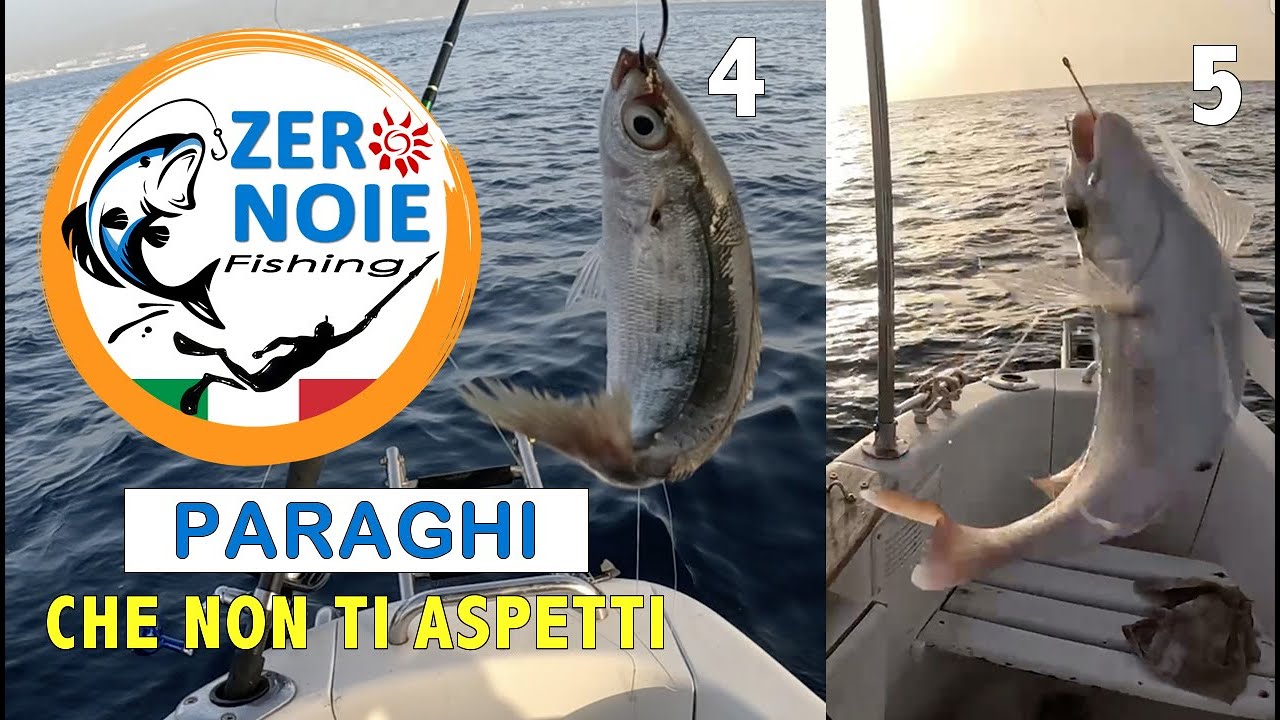 Cerchiamo boghe per l'esca ma.. peschiamo paraghi!