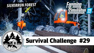 FORESTRY WORK WITH THE NEW HARVESTER! - Platinum Edition - Farming Simulator 22 - Survival Challenge