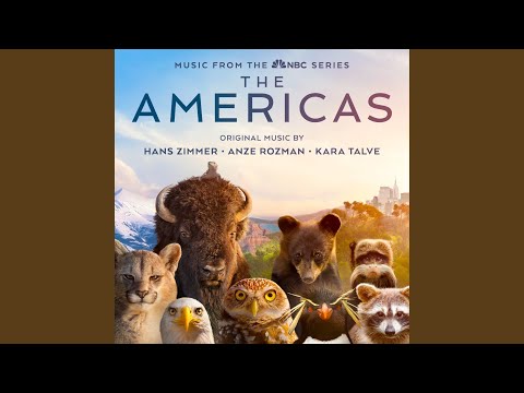 Putar Chilean Stag Beetle - Hans Zimmer