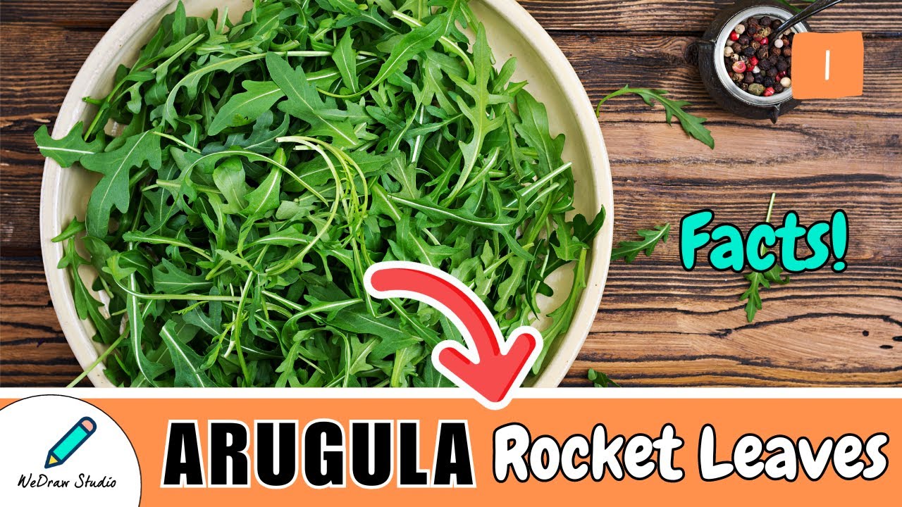 Arugula Herb / Rocket Leaves  - Amazing Benefits, Uses & More!