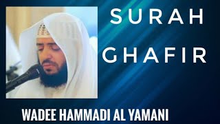 SURAH GHAFIR | AlQURAN | WADEE HAMMADI AL YAMANI | NICE VOICE AND RECITATION #iqraalquran