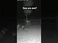 ERA UNA BRUJA? #miedo #terrorymisterio #paranormal #aterrador