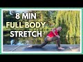 8 min YOGA - Daily Full Body Stretch