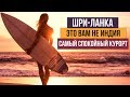 Шри-Ланка 2019, Мирисса. Лучший курорт на Шри-Ланке.