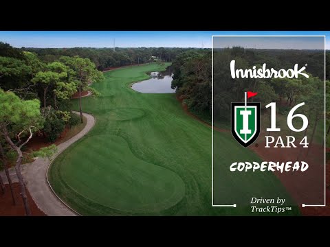 The Copperhead Course at Innisbrook Resort -  Hole 16