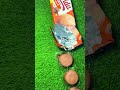 Did you taste this COOKIE???