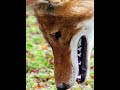 Uruhigi Indya Zama Zikenewe Uruhigi Indya Zama Zikenewe