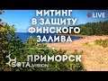 Протестный митинг в защиту Финского залива