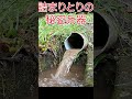 例のパイプの詰まりとり〜秘密兵器投入 #稲作 #農業＃詰まり＃スッキリ