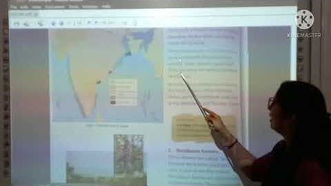 PG_4th_ Social Studies_ Ch -13_ Our Forests and Wild Resources_ Part- 1