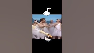 Thumbnail of swan lake ballet  😅