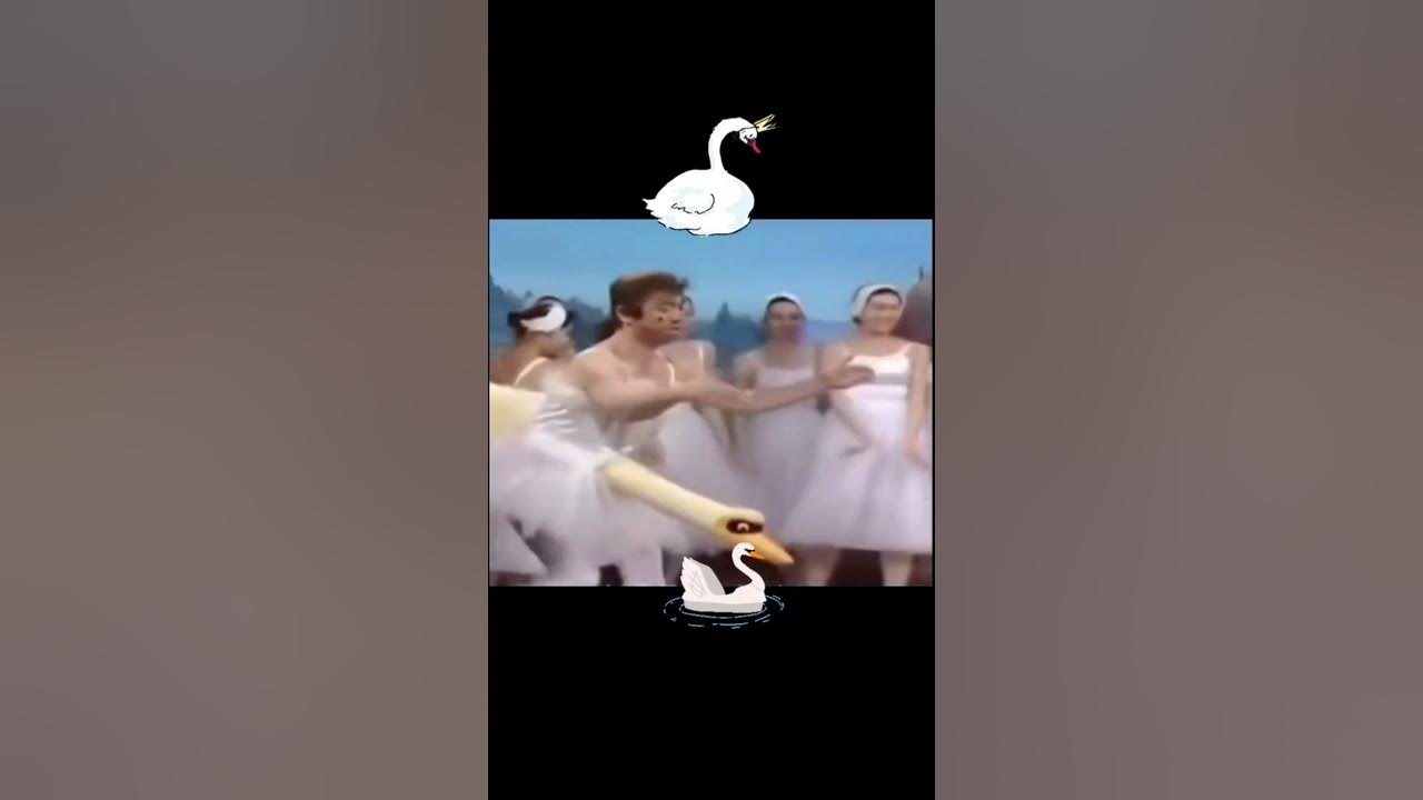 swan lake ballet  😅