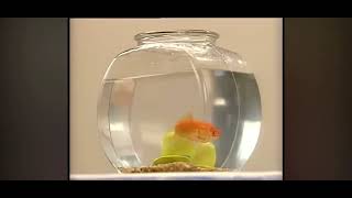 Elmos World Hats Song