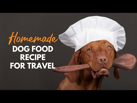 how-to-make-homemade-dehydrated-dog-food-for-travel-|-dr.-peter-dobias