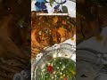 Grilled chicken with lemon sauce! #food #foodie #grilledchicken #viralvideo #viralshorts #fyp