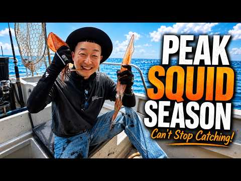Malaysia's Peak Squid Season : Catch & Cook Squid, Giant Fish 🦑🐟