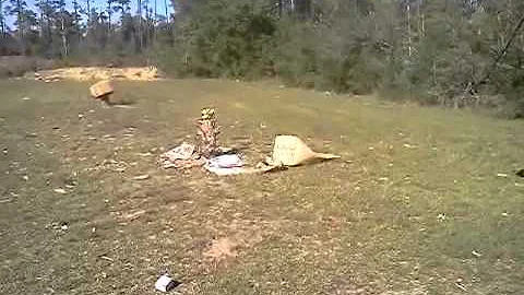 Down with the bunny