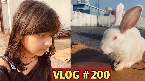 Wo Chala Gaya 😪😭| Vlog #200| #babinayoutuber #learnwithpriyanshi