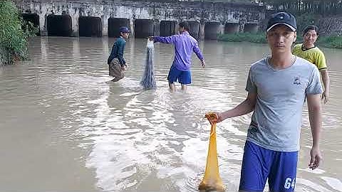 Thả Lưới Bắt Cá Ở Bình Dương Và Cái Kết Không Tưởng.|CMR2|